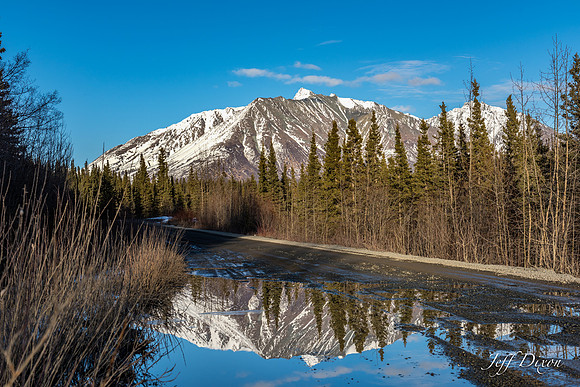 20160323-DSC_0382-Edit-2.jpg