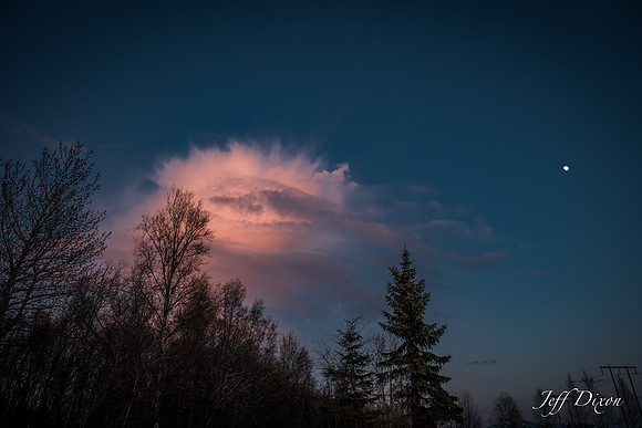 20160417-DSC_0880.jpg