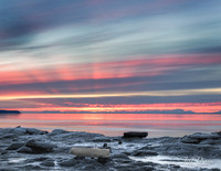 20160301-DSC_8151-Edit.jpg