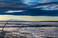 20160412-DSC_0865-Edit.jpg